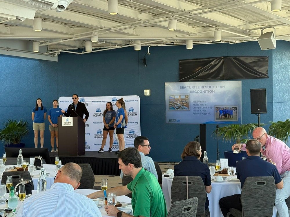 blog_TheFloridaAquarium3.jpg