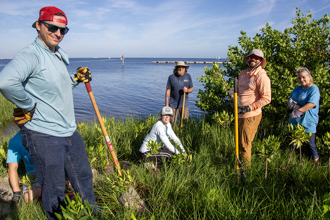 Mangrove Planting 5.jpg