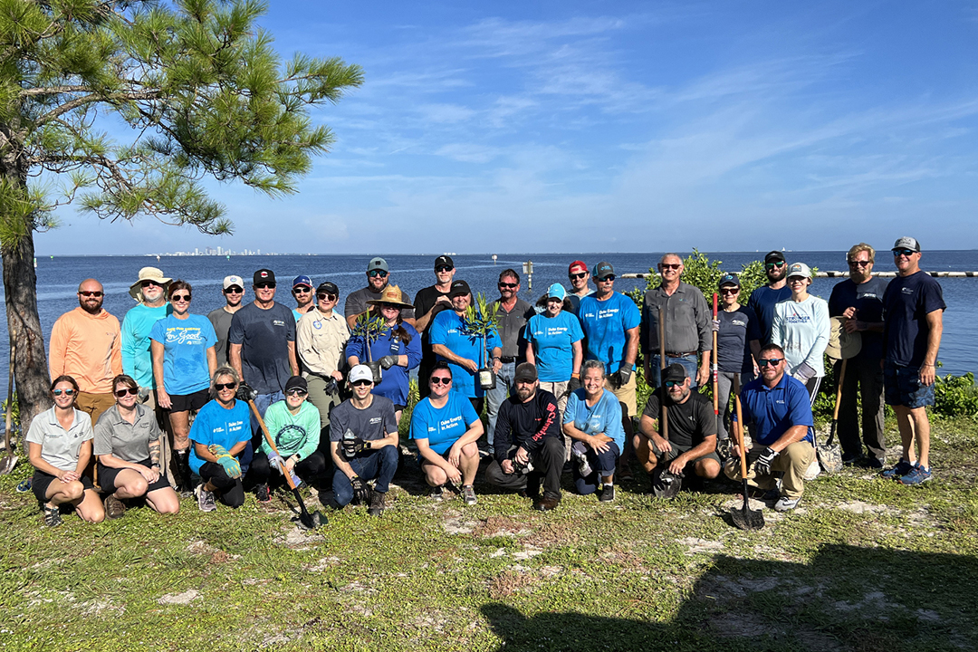 Mangrove Planting 6.jpg